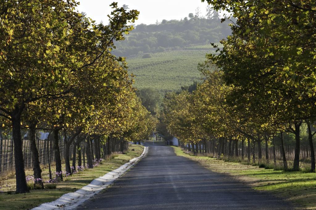 Saxenburg Wine Farm Kuils River Exterior foto